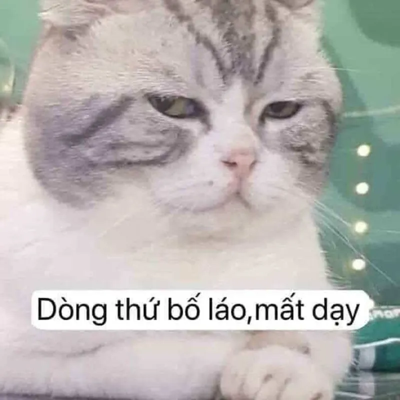Meme chửi bậy luôn tạo ra những tiếng cười sảng khoái Meme chửi bậy luôn tạo ra những tiếng cười sảng khoái