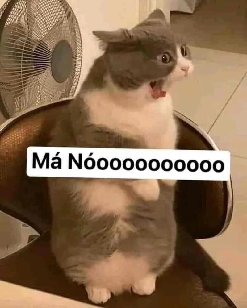 Meme chửi lộn thể hiện những tình huống hài hước trong cuộc sống Meme chửi lộn thể hiện những tình huống hài hước trong cuộc sống