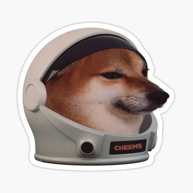 Cheem meme dễ thương mang lại tiếng cười cho mọi người Cheem meme dễ thương mang lại tiếng cười cho mọi người