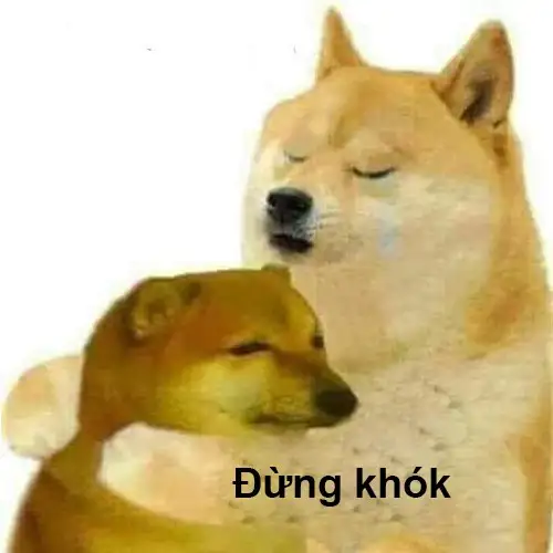 Hình ảnh meme cheems mang lại tiếng cười cho mọi người Hình ảnh meme cheems mang lại tiếng cười cho mọi người