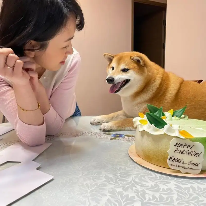 Cảnh sát chính tả meme cheems giúp bạn thể hiện sự hài hước Cảnh sát chính tả meme cheems giúp bạn thể hiện sự hài hước