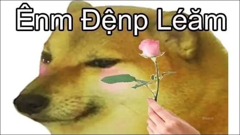 Shiba cheems meme vietnam dễ thương cho những ai yêu thích Shiba cheems meme vietnam dễ thương cho những ai yêu thích