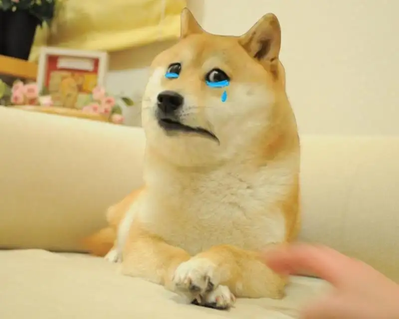 Meme hài cheems mang lại tiếng cười cho mọi người Meme hài cheems mang lại tiếng cười cho mọi người