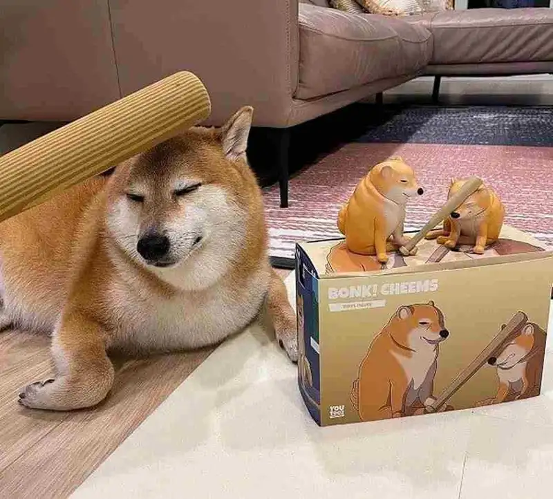Cheems meme cầm súng giúp bạn thể hiện sự sáng tạo Cheems meme cầm súng giúp bạn thể hiện sự sáng tạo
