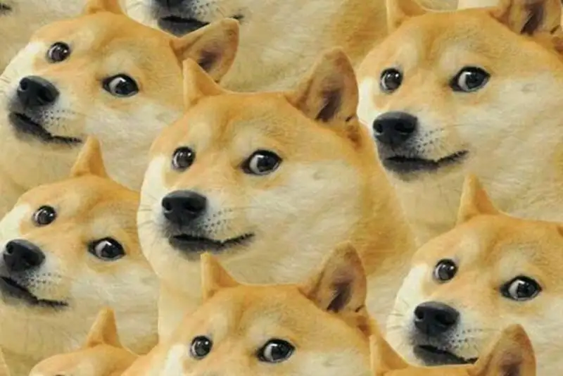Hình nền điện thoại meme cheems mang lại niềm vui cho ngày mới Hình nền điện thoại meme cheems mang lại niềm vui cho ngày mới