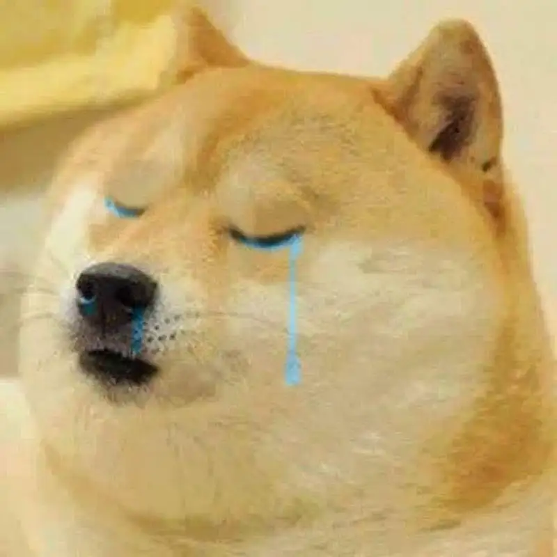 Meme cheems khóc mang lại cảm xúc chân thành cho người xem Meme cheems khóc mang lại cảm xúc chân thành cho người xem