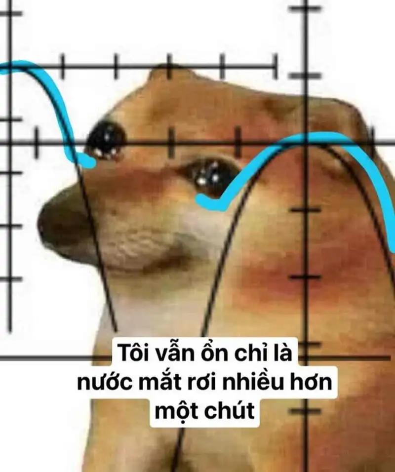 Avatar meme cheems dễ thương cho những ai yêu thích Avatar meme cheems dễ thương cho những ai yêu thích