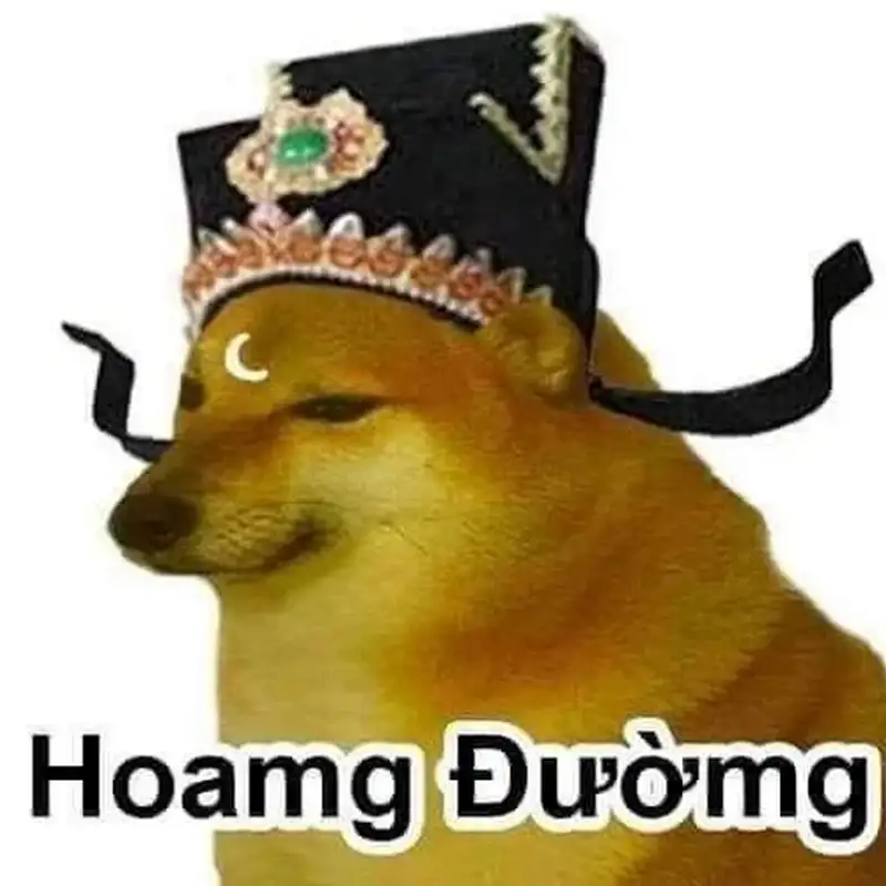 Ảnh meme cheem cheems giúp bạn thư giãn và cười thoải mái Ảnh meme cheem cheems giúp bạn thư giãn và cười thoải mái