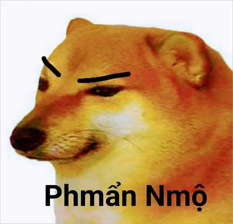 Hình ảnh cheems meme dễ thương cho những ai yêu thích Hình ảnh cheems meme dễ thương cho những ai yêu thích