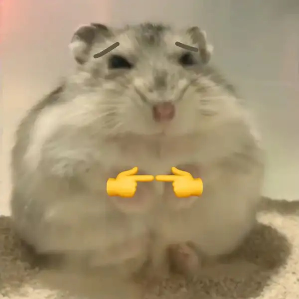Meme hình ảnh chuột hamster hài hước thật dễ thương Meme hình ảnh chuột hamster hài hước thật dễ thương