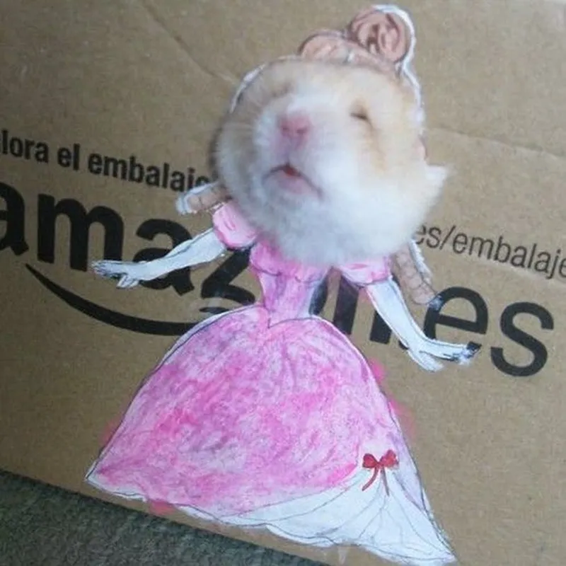 Meme ảnh chuột hamster hài hước khiến bạn không thể nhịn cười Meme ảnh chuột hamster hài hước khiến bạn không thể nhịn cười