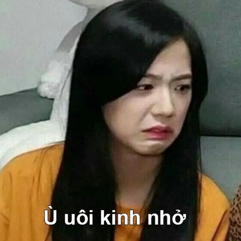 Meme blackpink khiến trái tim bạn tan chảy Meme blackpink khiến trái tim bạn tan chảy