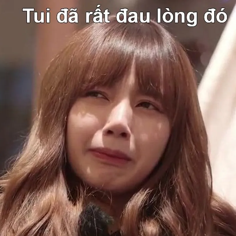 Meme blackpink how you like that thật dễ thương Meme blackpink how you like that thật dễ thương
