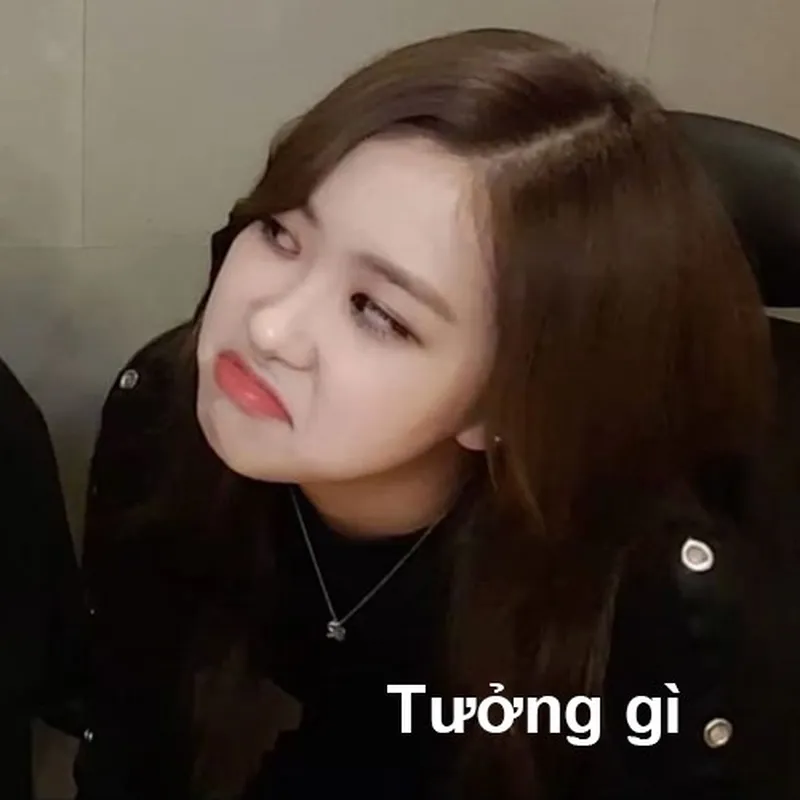 Ảnh lisa meme khiến trái tim bạn tan chảy Ảnh lisa meme khiến trái tim bạn tan chảy