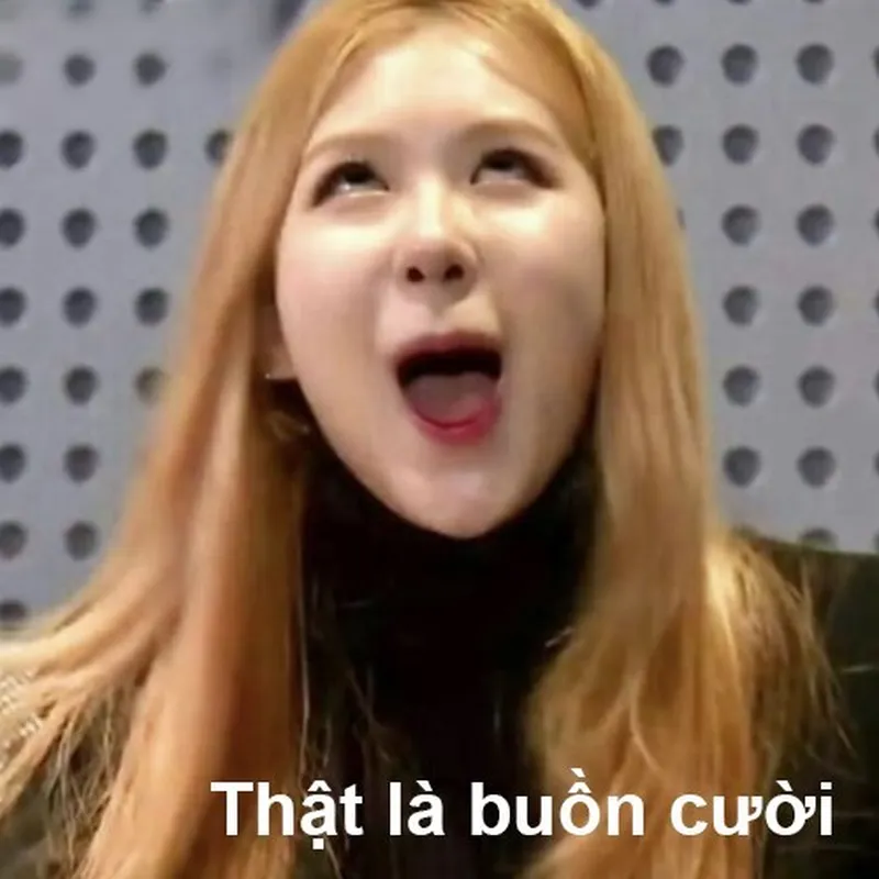 Cười meme ảnh dìm lisa thật hài hước Cười meme ảnh dìm lisa thật hài hước
