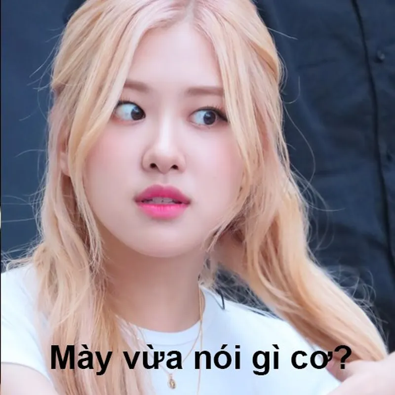 Blackpink meme pictures thật đáng yêu và thú vị Blackpink meme pictures thật đáng yêu và thú vị