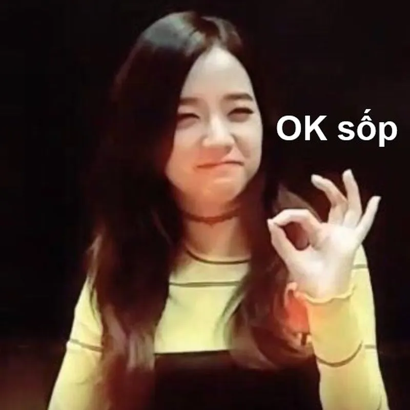 Jisoo meme blackpink khiến bạn không thể nhịn cười Jisoo meme blackpink khiến bạn không thể nhịn cười