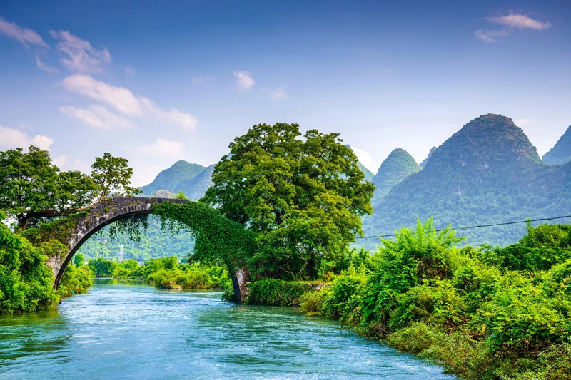 Ảnh thiên nhiên buồn 4k tạo nên không gian yên tĩnh Ảnh thiên nhiên buồn 4k tạo nên không gian yên tĩnh