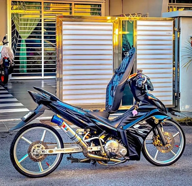 Wave alpha kiểng đơn giản nhưng vẫn đầy ấn tượng Wave alpha kiểng đơn giản nhưng vẫn đầy ấn tượng