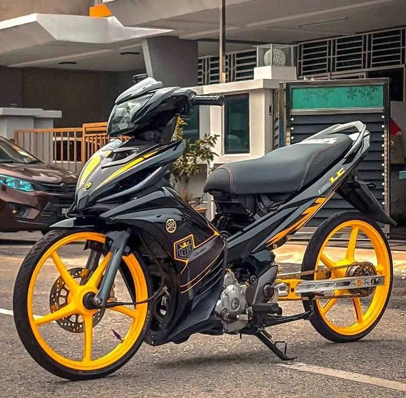 Wave alpha kiểng đẹp giúp bạn thể hiện phong cách cá nhân Wave alpha kiểng đẹp giúp bạn thể hiện phong cách cá nhân