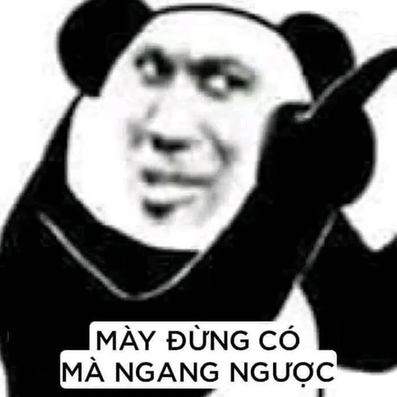Meme gấu trúc xin chào khiến bạn cảm thấy vui vẻ Meme gấu trúc xin chào khiến bạn cảm thấy vui vẻ