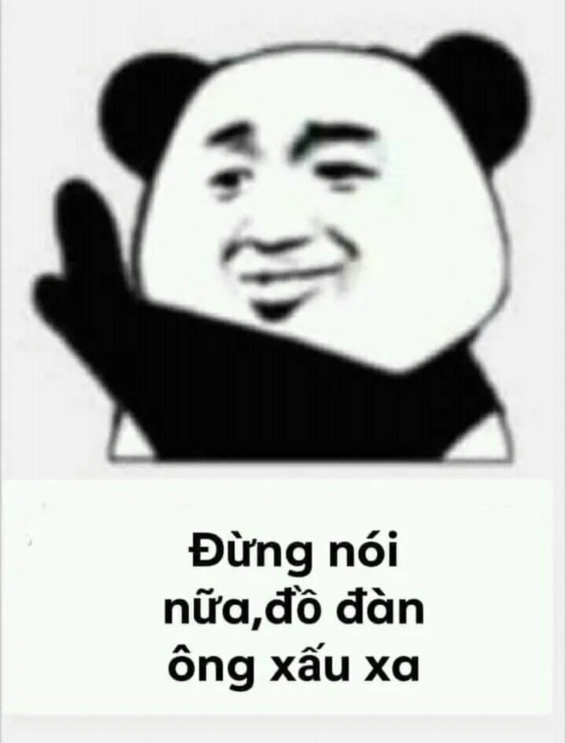 Vui nhộn meme gấu trúc bựa weibo khiến bạn cảm thấy thích thú Vui nhộn meme gấu trúc bựa weibo khiến bạn cảm thấy thích thú