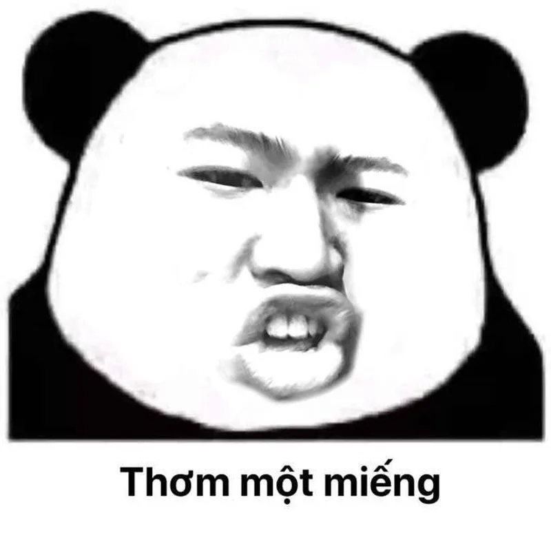 Meme gấu trúc troll face thật hài hước và độc đáo Meme gấu trúc troll face thật hài hước và độc đáo