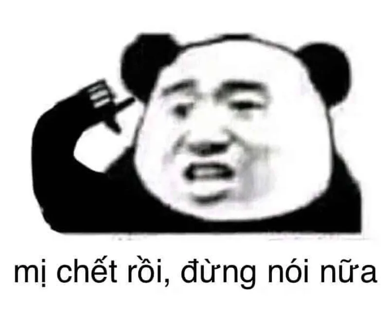 Meme gấu trúc sợ hãi các thứ thật thú vị và hài hước Meme gấu trúc sợ hãi các thứ thật thú vị và hài hước