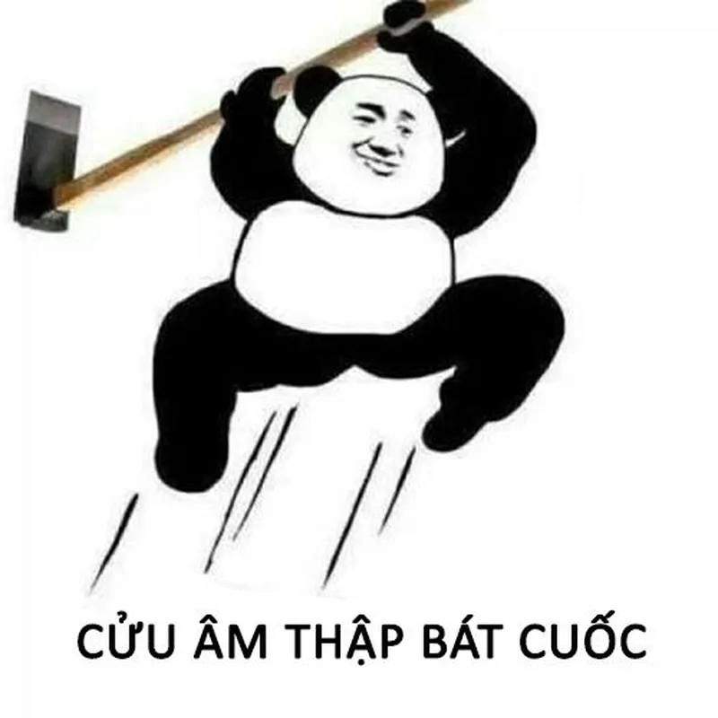 Meme gấu trúc ngang ngược khiến bạn cảm thấy vui vẻ Meme gấu trúc ngang ngược khiến bạn cảm thấy vui vẻ