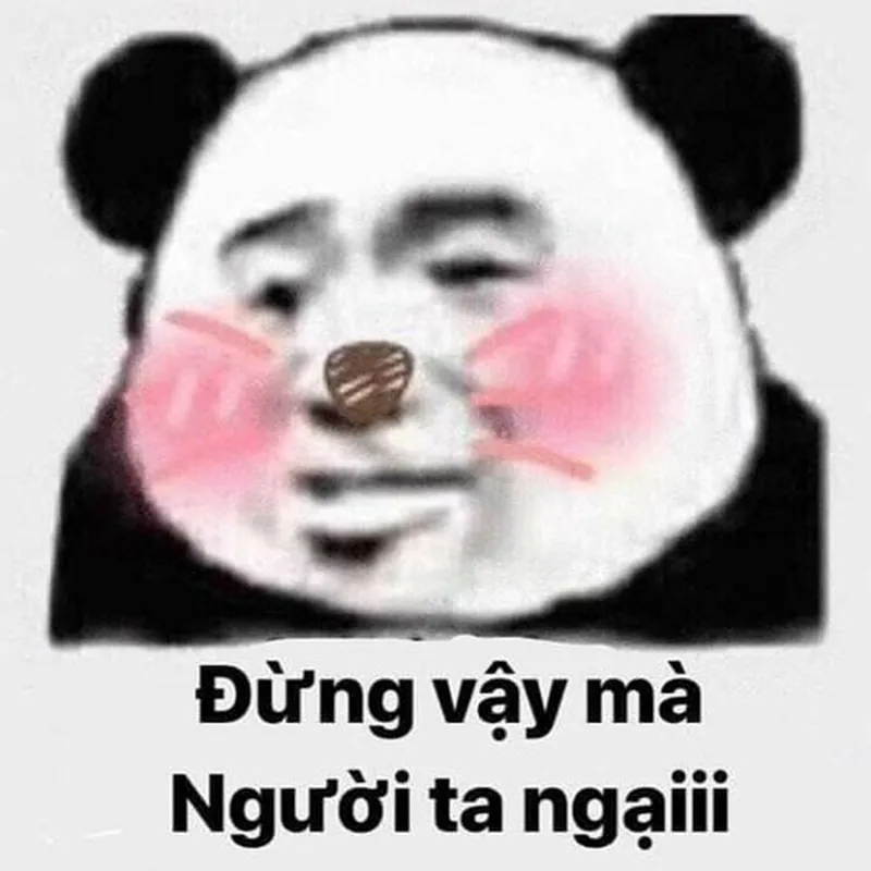 Meme gấu trúc không chữ thật độc đáo và hài hước Meme gấu trúc không chữ thật độc đáo và hài hước