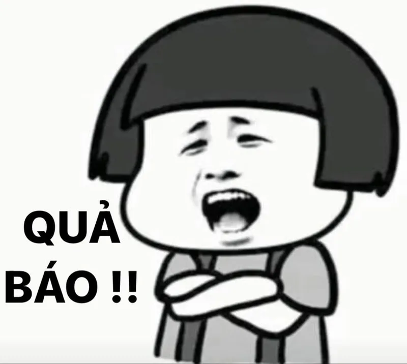 Gấu trúc khóc meme thật đáng yêu và hài hước Gấu trúc khóc meme thật đáng yêu và hài hước