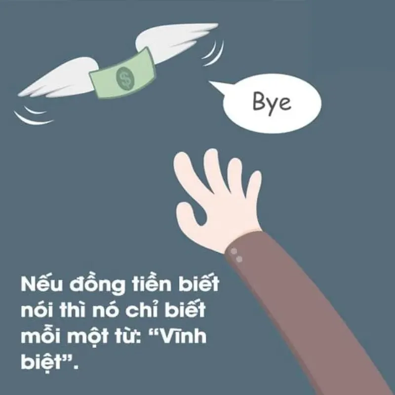 Mèo meme xin tiền thật đáng yêu và hài hước Mèo meme xin tiền thật đáng yêu và hài hước