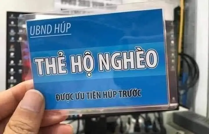 Meme mèo xin tiền thật hài hước và thú vị Meme mèo xin tiền thật hài hước và thú vị
