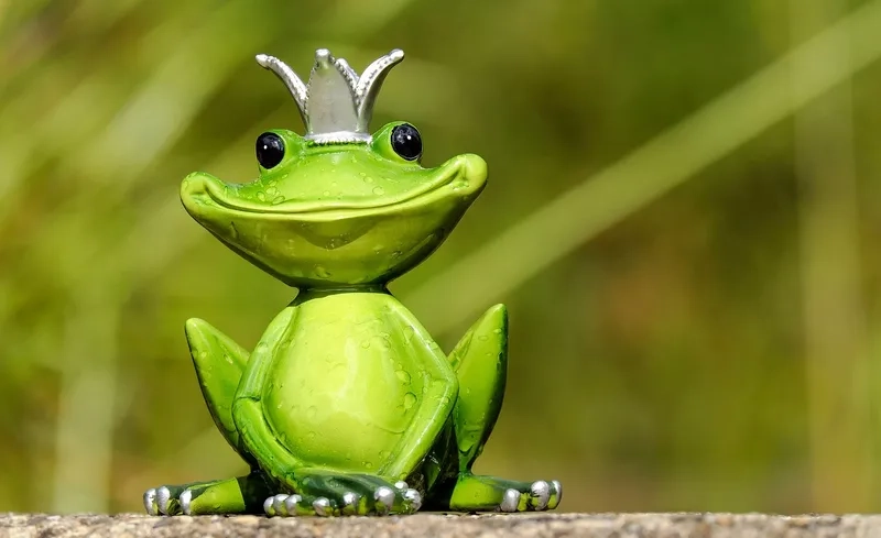 Nhạc thiếu nhi chú ếch con mang đến sự vui vẻ cho trẻ em Nhạc thiếu nhi chú ếch con mang đến sự vui vẻ cho trẻ em