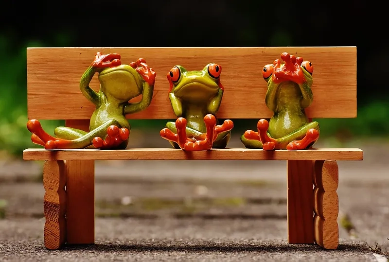Một con vịt chú ếch con mang đến sự hài hước và vui nhộn Một con vịt chú ếch con mang đến sự hài hước và vui nhộn
