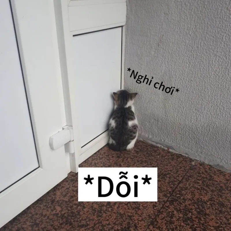 Cầm dao meme mèo bựa khiến bạn không thể nhịn cười Cầm dao meme mèo bựa khiến bạn không thể nhịn cười