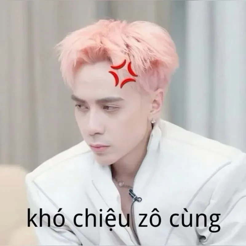 Meme avatar ảnh mèo cute giúp bạn tạo phong cách dễ thương Meme avatar ảnh mèo cute giúp bạn tạo phong cách dễ thương