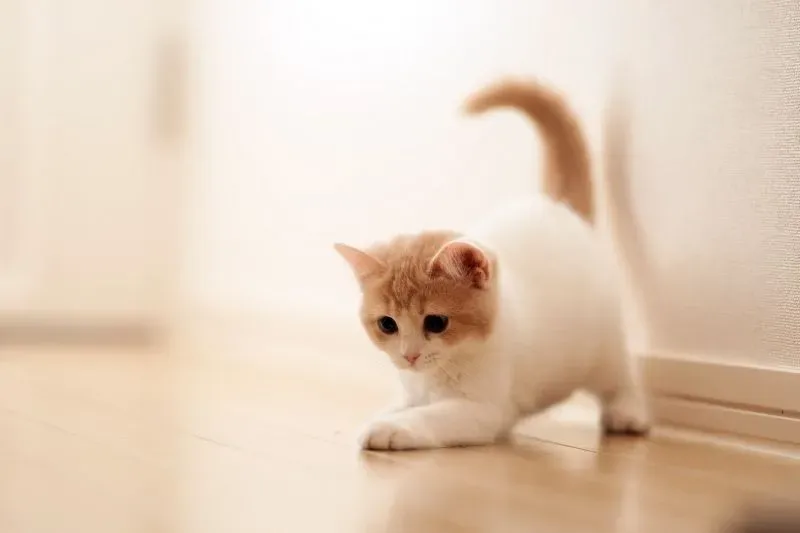 Ảnh meme avatar vô tri giúp bạn tạo phong cách độc đáo Ảnh meme avatar vô tri giúp bạn tạo phong cách độc đáo