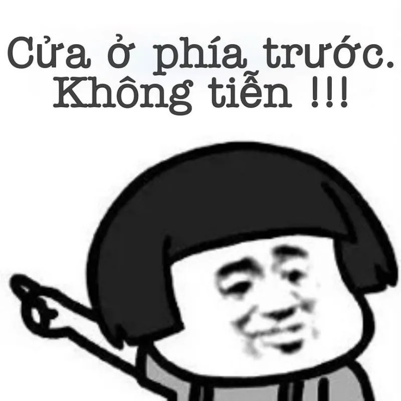 Avatar con mèo meme giúp bạn thể hiện tình yêu với mèo Avatar con mèo meme giúp bạn thể hiện tình yêu với mèo