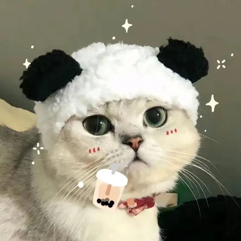 Khám phá avatar meme hài bựa để tạo phong cách vui nhộn Khám phá avatar meme hài bựa để tạo phong cách vui nhộn