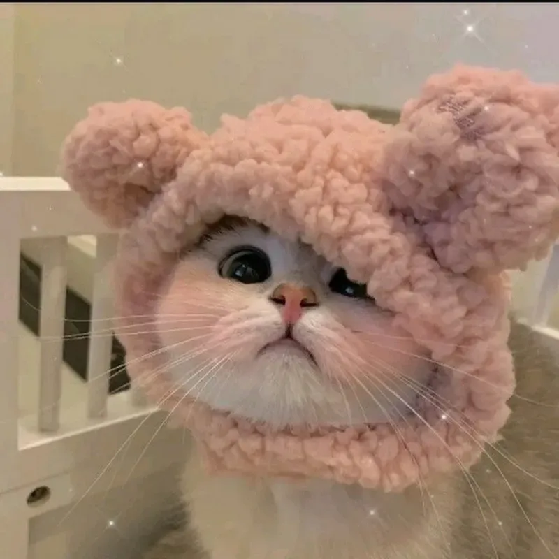 Avatar meme hài hước giúp bạn thể hiện sự hài hước của mình Avatar meme hài hước giúp bạn thể hiện sự hài hước của mình