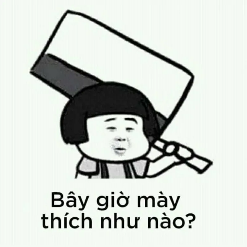 Avatar ảnh mèo cute meme là lựa chọn hoàn hảo cho fan mèo Avatar ảnh mèo cute meme là lựa chọn hoàn hảo cho fan mèo