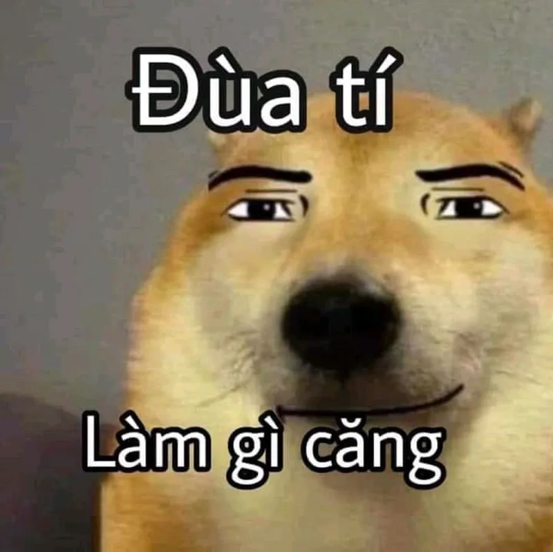 Ảnh meme avatar vô tri mèo giúp bạn thể hiện sự sáng tạo Ảnh meme avatar vô tri mèo giúp bạn thể hiện sự sáng tạo