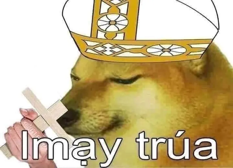 Meme linda lạy mang đến những khoảnh khắc hài hước và thú vị Meme linda lạy mang đến những khoảnh khắc hài hước và thú vị