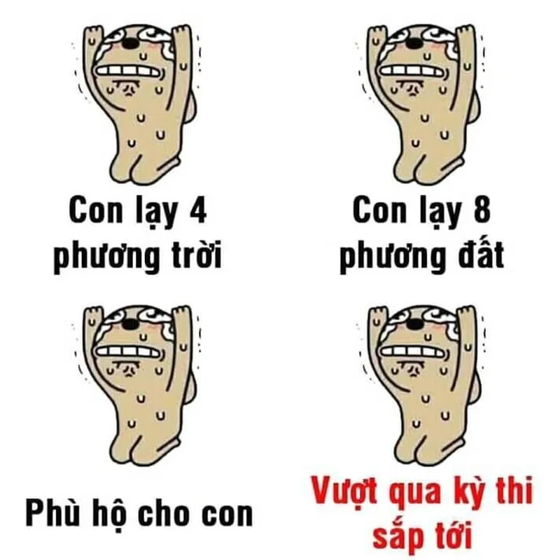 Quỳ meme mang đến những khoảnh khắc hài hước và thú vị Quỳ meme mang đến những khoảnh khắc hài hước và thú vị