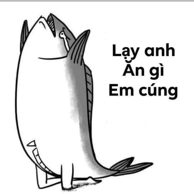 Meme quỳ gối mang đến những khoảnh khắc hài hước và thú vị Meme quỳ gối mang đến những khoảnh khắc hài hước và thú vị