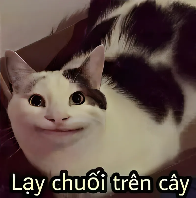 Con lạy mẹ meme giúp bạn thể hiện tình cảm một cách dễ thương Con lạy mẹ meme giúp bạn thể hiện tình cảm một cách dễ thương