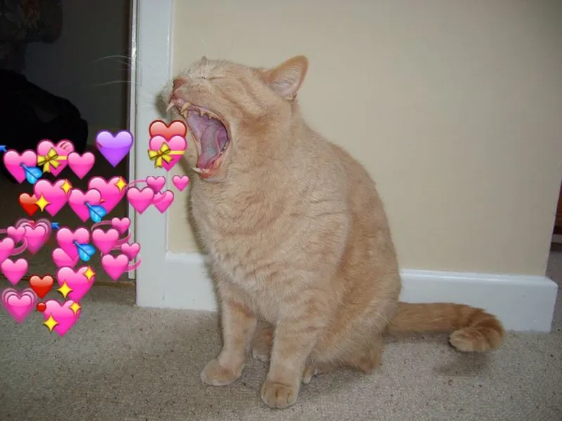 Meme vẽ người que bắn tim khiến bạn không thể nhịn cười Meme vẽ người que bắn tim khiến bạn không thể nhịn cười