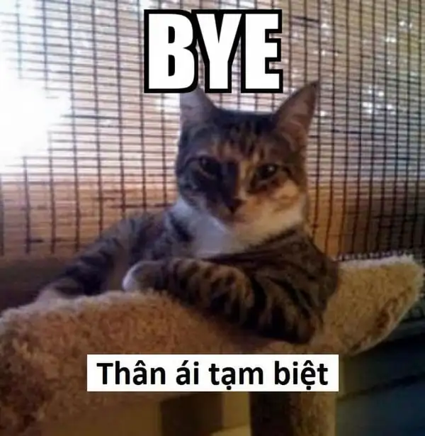 Chào tạm biệt meme là cách thể hiện tình cảm chân thành Chào tạm biệt meme là cách thể hiện tình cảm chân thành