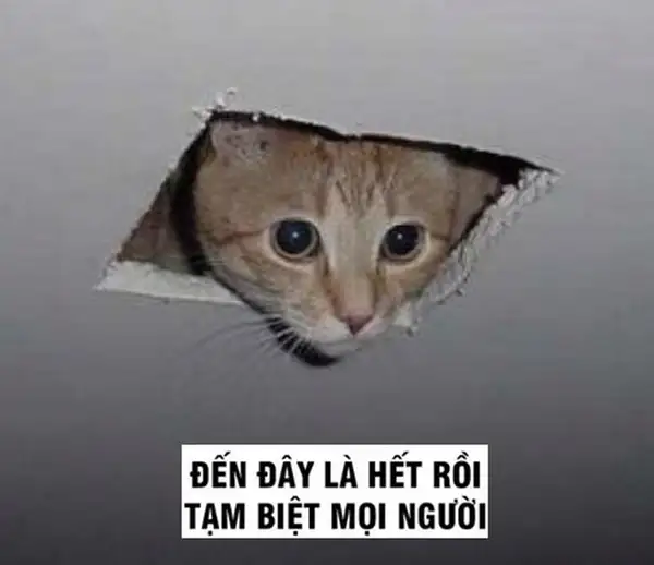Tạm biệt meme kết thúc bài thuyết trình mang lại tiếng cười cho khán giả Tạm biệt meme kết thúc bài thuyết trình mang lại tiếng cười cho khán giả